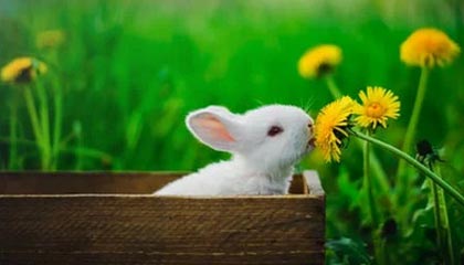 2026年政府工作报告要点一览，券商首席把脉2026年A股投资方向